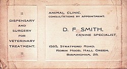 Veterinary Business Card