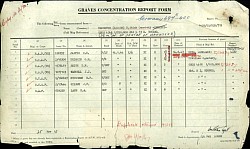 Graves Concentration Report Form
